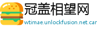 冠盖相望网